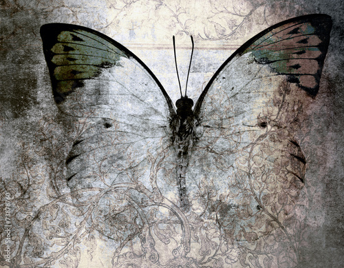 Obraz na płótnie sztuka vintage obraz motyl