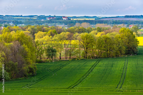 Plakat łąka wiejski las