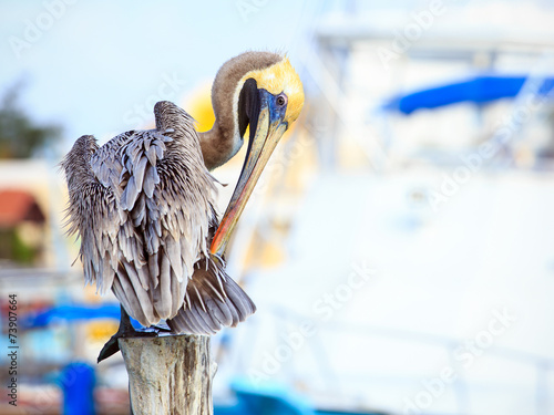 Naklejka molo ładny brzeg natura portret