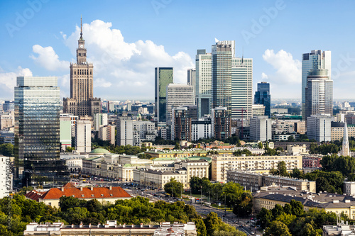 Fototapeta drzewa śródmieście wieża drapacz