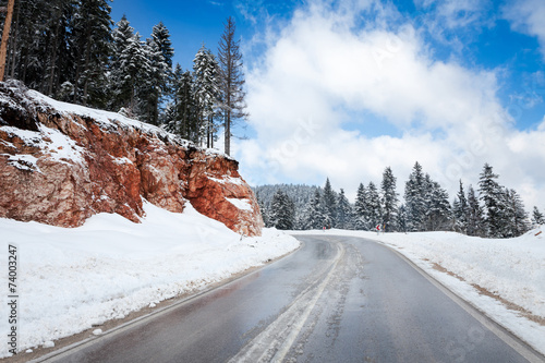 Fotoroleta droga autostrada offroad drzewa ulica