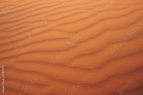 Naklejka pustynia afryka wydma arabski