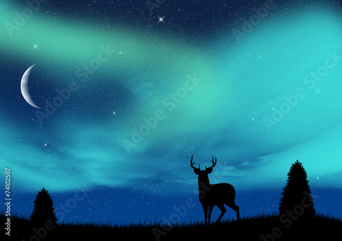 Plakat pejzaż natura niebo gwiazda noc