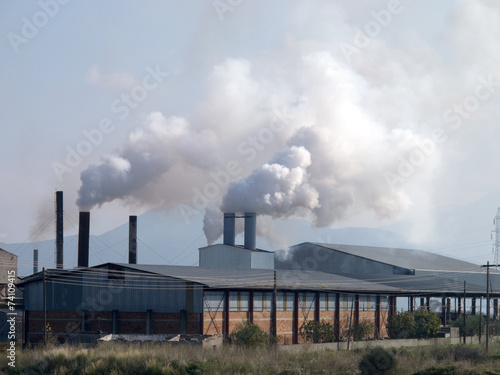 Fotoroleta nowoczesny natura roślina