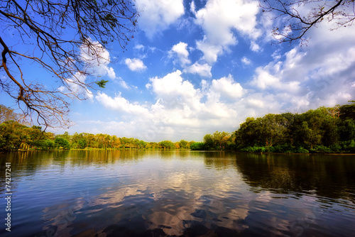 Fototapeta trawa lato park