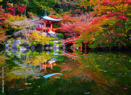 Fototapeta japonia spokojny tokio wiśnia