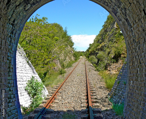 Obraz na płótnie krzew niebo tunel