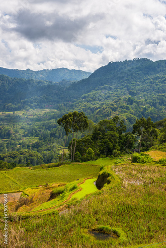 Plakat niebo natura panoramiczny wzgórze indonezja