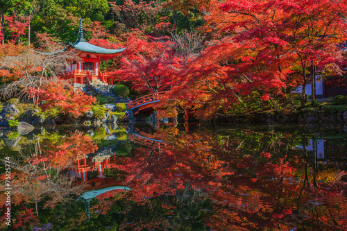 Obraz na płótnie most jesień natura architektura japonia