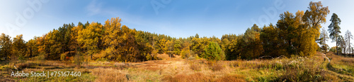 Fotoroleta piękny drzewa jesień park