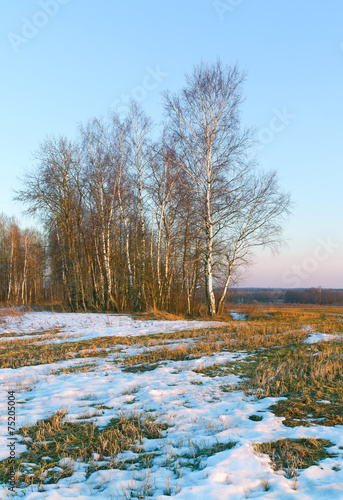 Fototapeta świt niebo natura