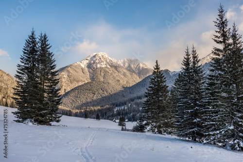 Fotoroleta las śnieg narty