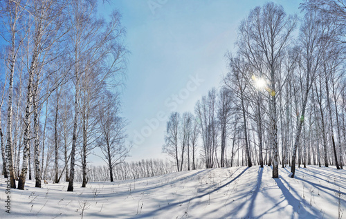 Fototapeta pejzaż pole śnieg