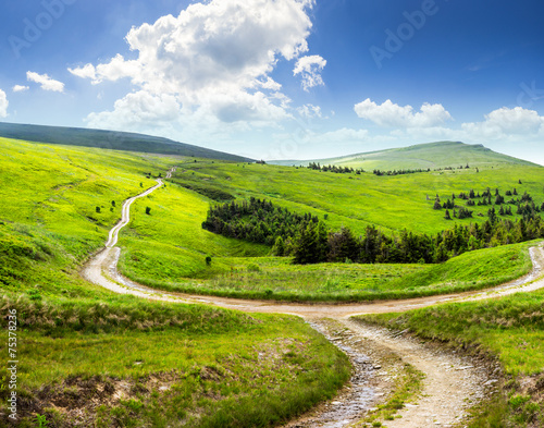 Naklejka rolnictwo las drzewa góra natura