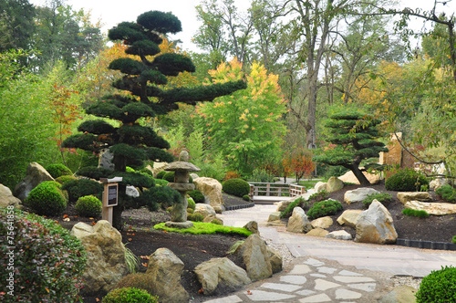 Naklejka lato ścieżka drzewa orientalne park