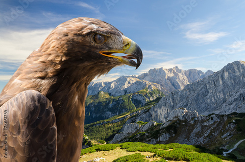 Obraz na płótnie krajobraz natura portret alpy