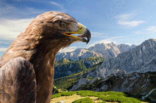 Plakat krajobraz natura portret alpy