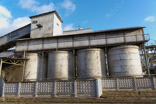 Fotoroleta roślina architektura wieża cement