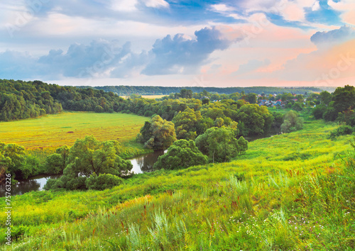 Naklejka krzew słońce pole natura wybrzeże