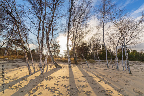 Fototapeta niebo natura wybrzeże