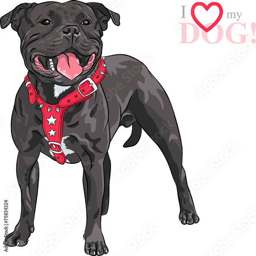 Plakat Ilustracja Staffordshire Bull Terriera