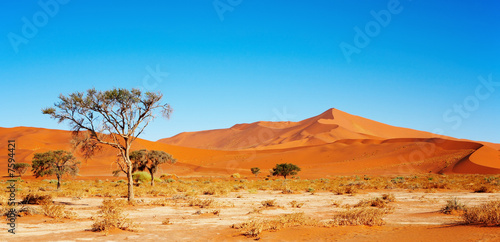 Naklejka bezdroża krajobraz safari pustynia