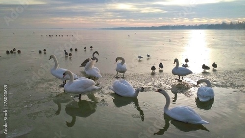 Fotoroleta woda lód natura węgry niebo