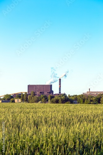 Naklejka miasto roślina woda architektura