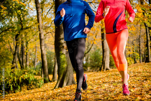 Naklejka drzewa park jogging