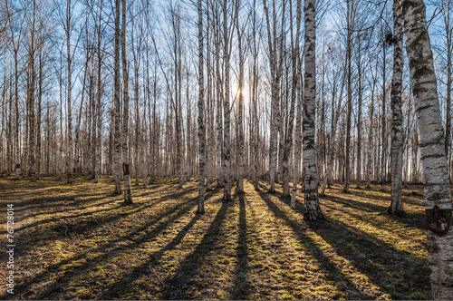 Naklejka rosja natura pejzaż bezdroża