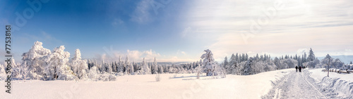 Fotoroleta krajobraz panorama narty droga śnieg