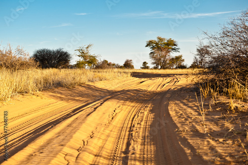 Obraz na płótnie droga pustynia krajobraz