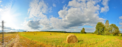 Naklejka wieś pole siano lato pejzaż