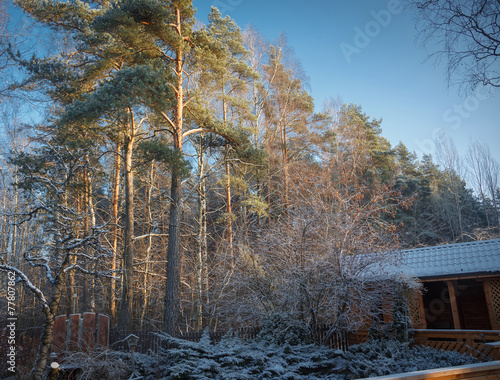 Naklejka park pejzaż słońce natura dziki