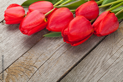 Obraz na płótnie kwiat miłość tulipan piękny