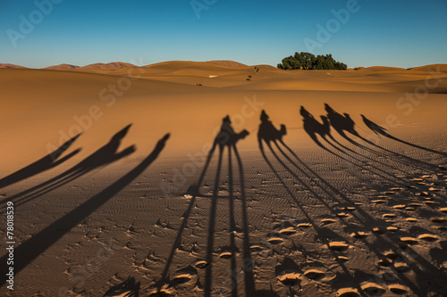 Naklejka pustynia cieniu maroko sahara