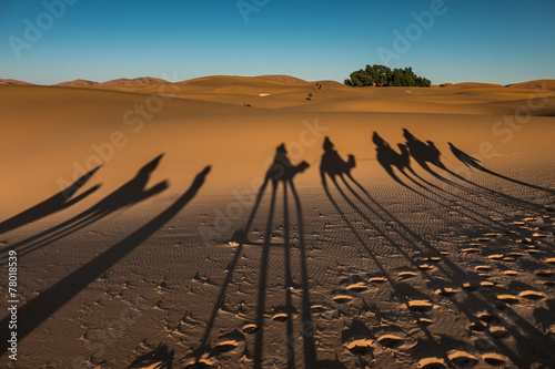 Plakat pustynia cieniu maroko sahara