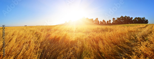 Fotoroleta panorama wieś trawa słońce