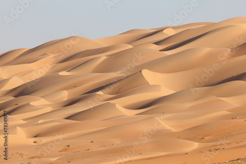 Naklejka wydma natura arabian spokojny