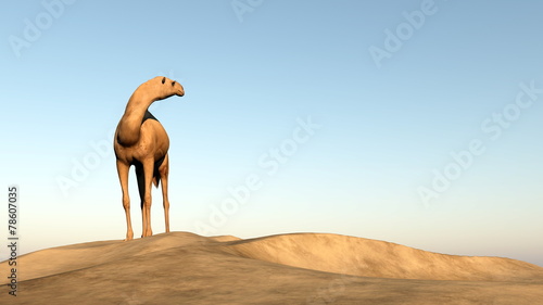 Fotoroleta pustynia niebo 3D afryka wydma