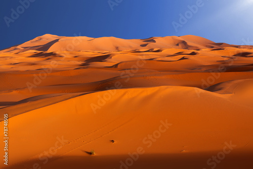 Obraz na płótnie wydma góra natura pustynia niebo