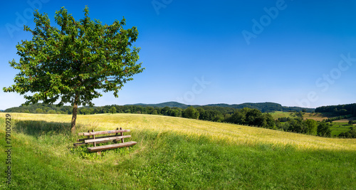 Plakat trawa natura pole niebo