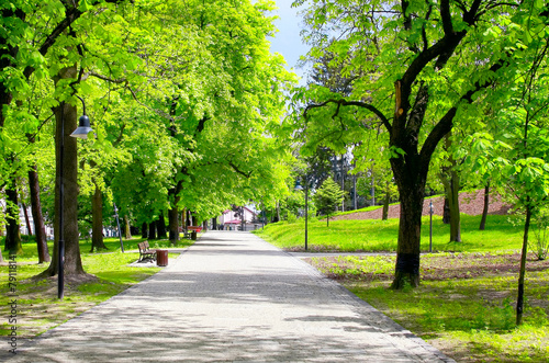 Fotoroleta Zielony miejski park