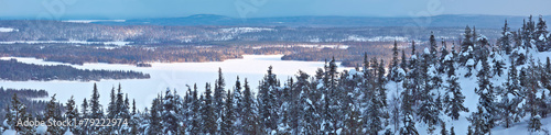 Plakat dziki finlandia góra śnieg europa