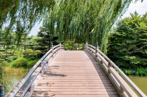 Fotoroleta drzewa park japoński las