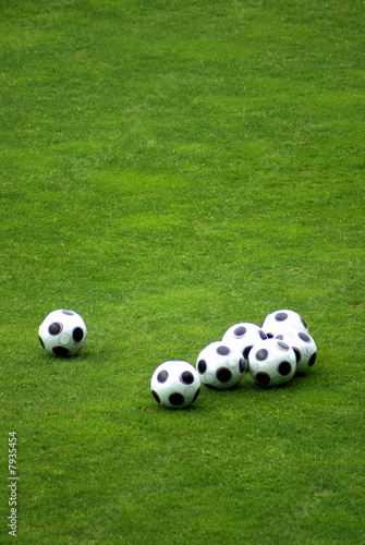 Obraz na płótnie trawa piłka sport