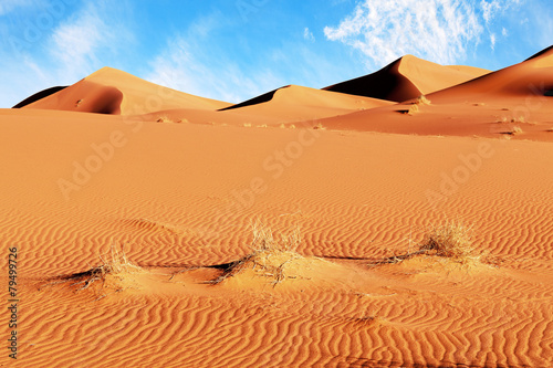 Naklejka wydma afryka pustynia
