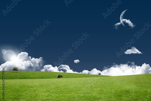Naklejka trawa niebo krajobraz łąka pole