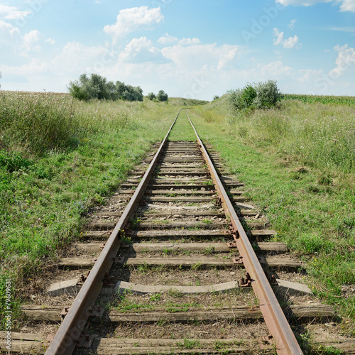 Naklejka transport ścieżka drzewa stary