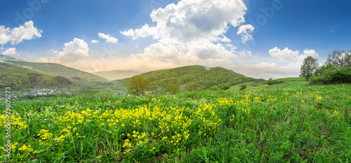 Fototapeta drzewa wiejski pejzaż natura